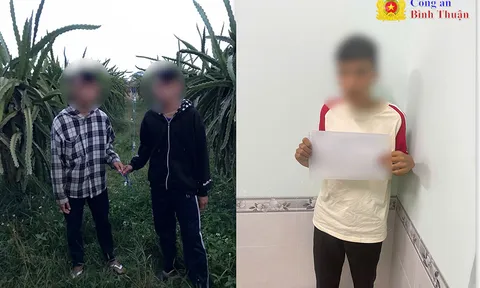 Phát hiện nhóm học sinh lớp 9 trộm dây điện trong rẫy thanh long