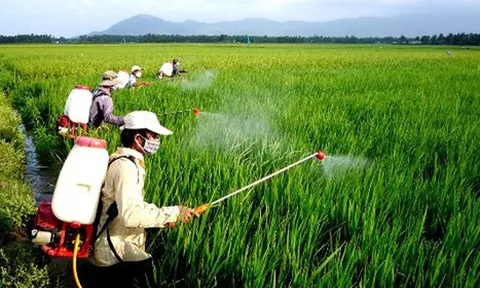 Đề xuất sửa Danh mục thuốc bảo vệ thực vật được phép sử dụng tại Việt Nam