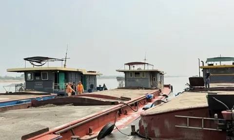 Bắt 3 tàu vận chuyển gần 1.000 m3 cát không rõ nguồn gốc trên sông Hồng