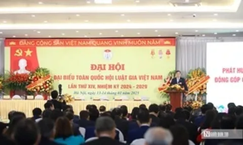 Hội Luật gia Dân chủ Quốc tế gửi thư chúc mừng Hội Luật gia Việt Nam nhân kỷ niệm 70 năm thành lập