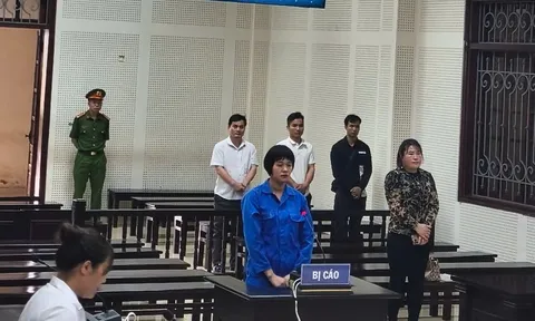 Lừa bạn hàng hơn 12 tỷ đồng, 'nữ quái' lĩnh án 15 năm tù