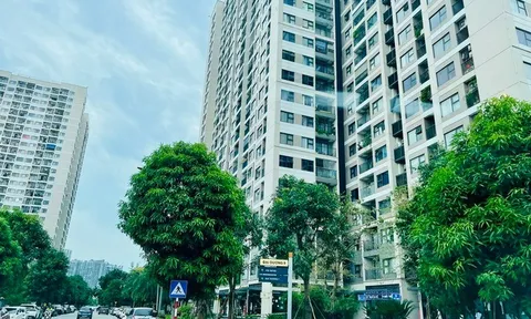 Sống ở chung cư bị mất trộm, ban quản lý có phải đền?
