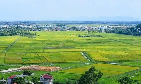 Quy định về trình tự, thủ tục cho phép chuyển mục đích sử dụng đất