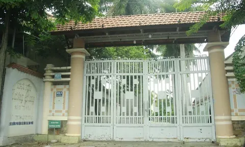 Khởi tố Chủ tịch HĐQT Công ty Cây xanh Công Minh