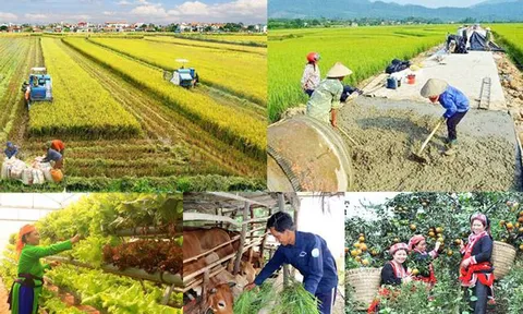 Kịp thời hướng dẫn, tháo gỡ khó khăn trong triển khai các chương trình mục tiêu quốc gia
