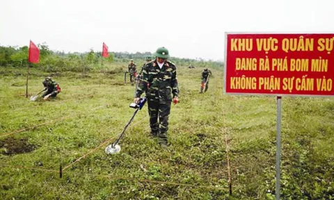 Kiện toàn Ban Chỉ đạo quốc gia khắc phục hậu quả bom mìn và chất độc hóa học sau chiến tranh
