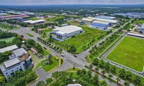 Giảm 30% tiền thuê đất phải nộp năm 2024