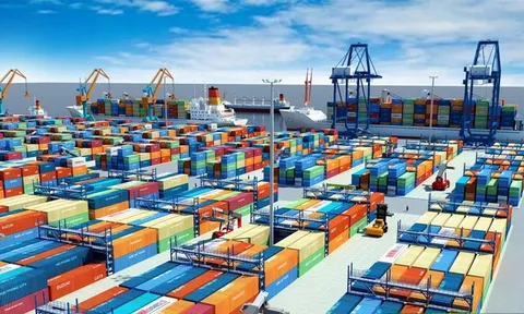 Hướng dẫn xử lý biện pháp phòng vệ thương mại áp dụng đối với hàng hóa xuất khẩu của Việt Nam