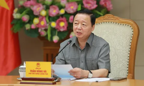 Chủ động vận dụng cơ chế mới, tháo gỡ vướng mắc, tránh lãng phí nguồn lực đất đai