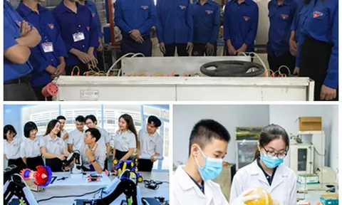 Khuyến khích thanh niên tích cực tham gia phát triển khoa học công nghệ, đổi mới sáng tạo, chuyển đổi số