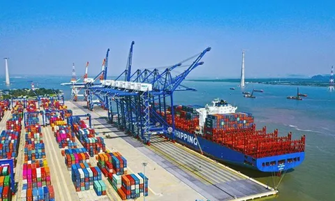 Đề xuất quy định mới về tổ chức, hoạt động của Cảng vụ hàng hải, Cảng vụ đường thủy nội địa