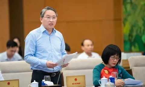 Dự kiến tăng mức phạt tiền tối đa trong một số lĩnh vực