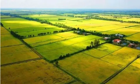 Quy định về mức xử phạt đối với hành vi lấn chiếm đất