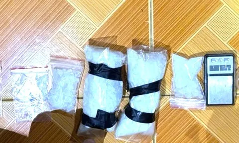 Tạm giữ hình sự 2 đối tượng tàng trữ ma tuý ở Đồng Nai