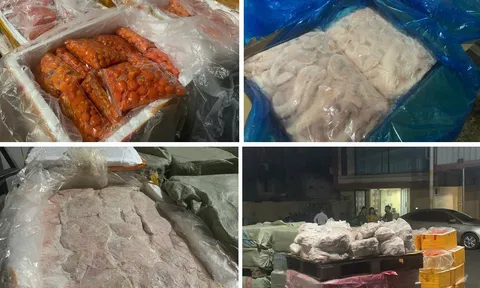 Phát hiện hơn 7 tấn thực phẩm đông lạnh không rõ nguồn gốc
