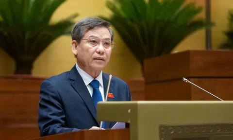 Đề xuất thành lập Tòa án nhân dân khu vực, Tòa chuyên trách về Phá sản, Sở hữu trí tuệ