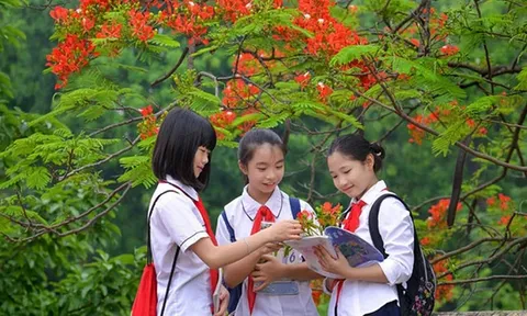 Thủ tướng chỉ đạo 3 vấn đề nóng trong giáo dục