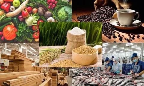 Tập trung chỉ đạo bảo đảm sản xuất, tiêu thụ, xuất khẩu nông lâm thủy sản trong bối cảnh biến động thương mại toàn cầu