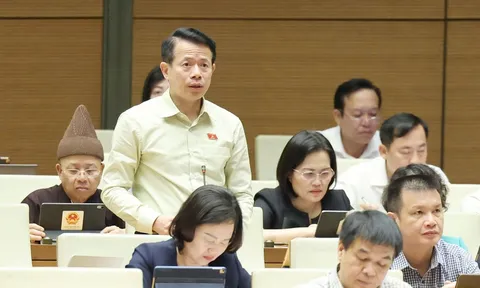 Cần thiết ban hành Luật nhằm đảm bảo tổ chức bộ máy tinh gọn, hiệu năng