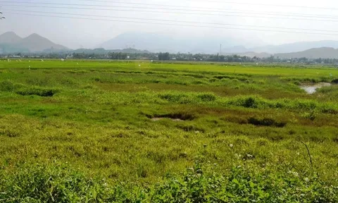 Đất bỏ hoang trong thời gian bao lâu sẽ bị mất quyền sử dụng đất?