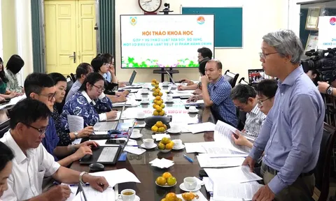 Sửa đổi Luật Xử lý vi phạm hành chính: Cần phân quyền xử phạt cho cấp sở