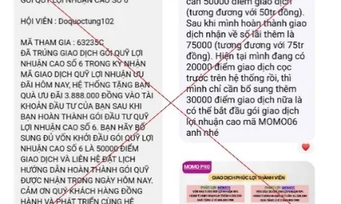 Người đàn ông mất hơn 300 triệu đồng khi đầu tư qua ứng dụng MoMo Pro giả mạo