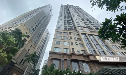 Khám xét nơi ở của hoa hậu Nguyễn Thúc Thùy Tiên tại TP.HCM