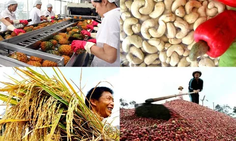 Công điện của Thủ tướng Chính phủ về chủ động triển khai các biện pháp bảo đảm sản xuất, chế biến, tiêu thụ và xuất khẩu nông sản