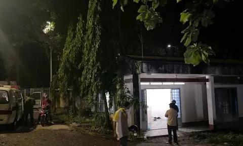 Điều tra vụ bố vợ và con rể xô xát khiến 1 người chết, 3 người bị thương