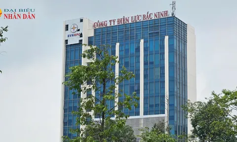 Cần minh bạch trong đấu giá tài sản vật tư thiết bị có chứa chất thải nguy hại của các Công ty điện lực