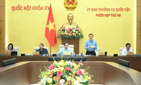 Hoàn thiện dự thảo Luật sửa đổi, bổ sung một số điều của Luật Tổ chức Tòa án nhân dân, trình Quốc hội xem xét, thông qua