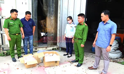 Phát hiện hơn 11 tấn thực phẩm đông lạnh không rõ nguồn gốc ở Bình Dương