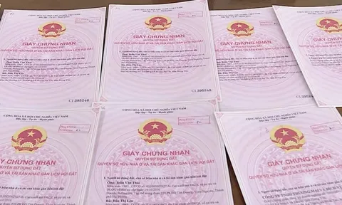 Tạm giữ đối tượng dùng sổ đỏ giả bán đất rồi chiếm đoạt 8 tỷ đồng