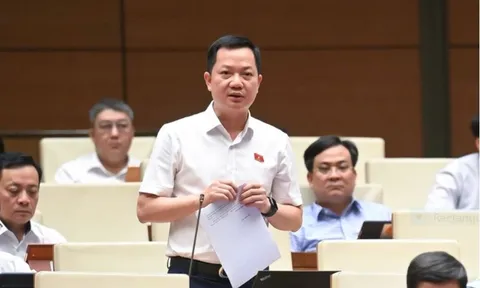 Đề nghị giám sát chặt tình trạng hàng giả, hàng nhái, hóa đơn tính thuế