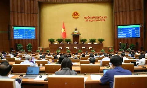 Quốc hội đồng ý bỏ án tử hình với 8 tội danh, có tội tham ô tài sản, nhận hối lộ