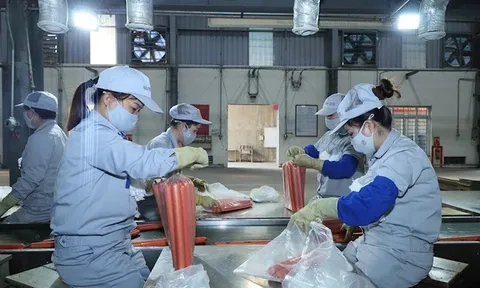 Mở rộng nhóm đối tượng tham gia bảo hiểm thất nghiệp từ 1/1/2026