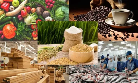 Thủ tục cấp Giấy chứng nhận đủ điều kiện ATTP với cơ sở sản xuất nông, lâm, thủy sản