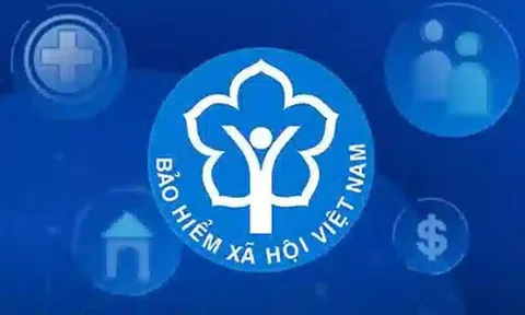 Thủ tục thành lập Hội đồng quản lý bảo hiểm xã hội