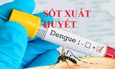 Thủ tướng Chính phủ chỉ đạo tăng cường phòng, chống bệnh sốt xuất huyết