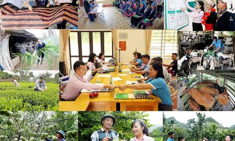 Nâng cao hiệu quả tín dụng chính sách xã hội