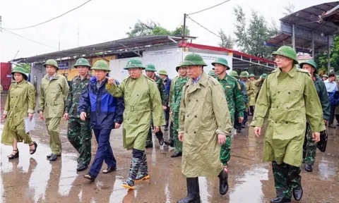 Kiên quyết đưa ngư dân đi tránh bão, có phương án bảo vệ tài sản