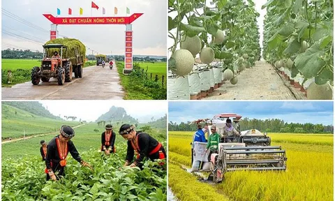 Xây dựng cơ sở dữ liệu các chương trình mục tiêu quốc gia