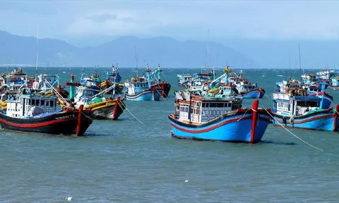 Công điện của Thủ tướng Chính phủ về việc tăng cường công tác chống khai thác thủy sản bất hợp pháp, không báo cáo, không theo quy định (IUU)
