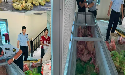 Tạm giữ hình sự 4 đối tượng gom heo mắc dịch tả heo châu Phi bán ra thị trường