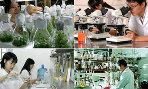 Tăng cường thực hiện các chính sách ưu đãi, hỗ trợ cho doanh nghiệp khoa học và công nghệ