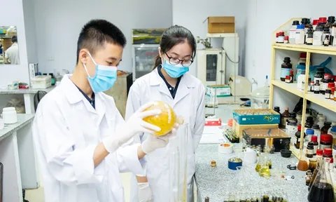 Đề xuất chính sách trọng dụng nhà khoa học trẻ tài năng, kỹ sư trẻ tài năng