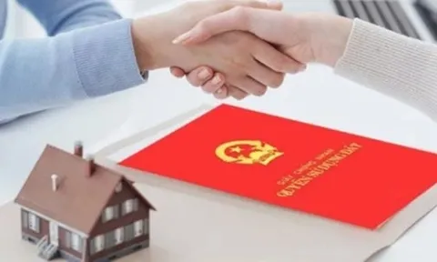 Chuyển nhượng quyền sử dụng đất khi không để lại di chúc làm thế nào?