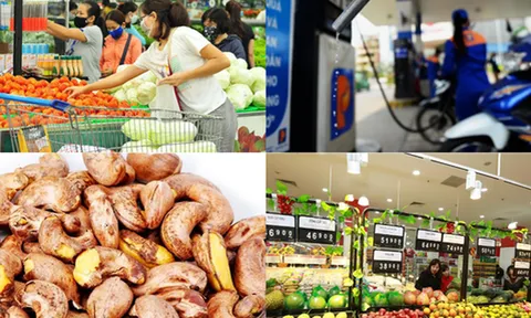 Đề xuất sửa đổi bổ sung một số điều của Luật Giá