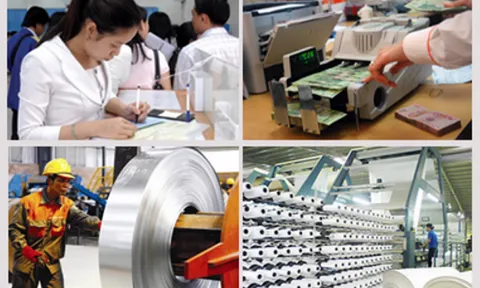 Tổng điều tra kinh tế trên phạm vi toàn quốc từ 5/1/2026
