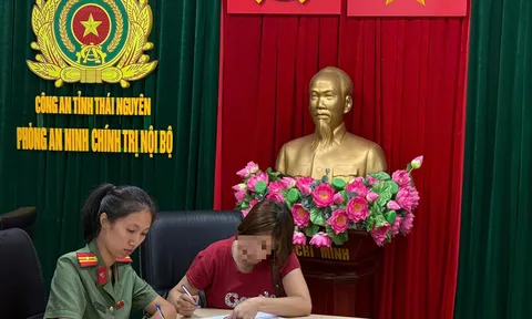 Xử lý người phụ nữ xúc phạm lực lượng chức năng liên quan đến vụ lao xe vào chốt bảo vệ A80
